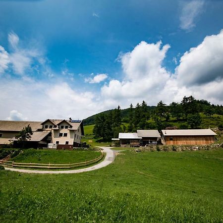 Tourist Farm Pr'Dovar Cerklje na Gorenjskem Buitenkant foto