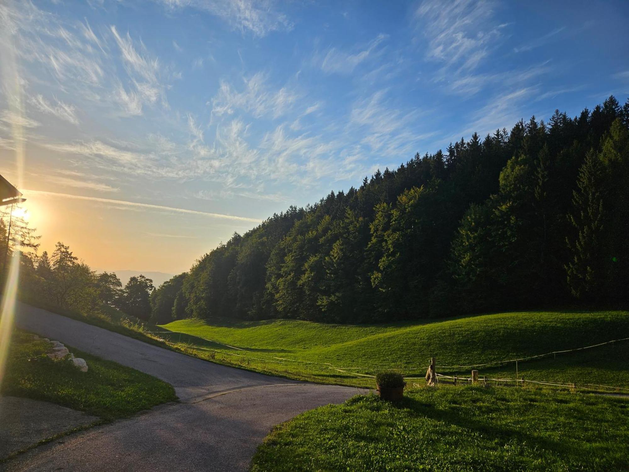 Tourist Farm Pr'Dovar Cerklje na Gorenjskem Buitenkant foto