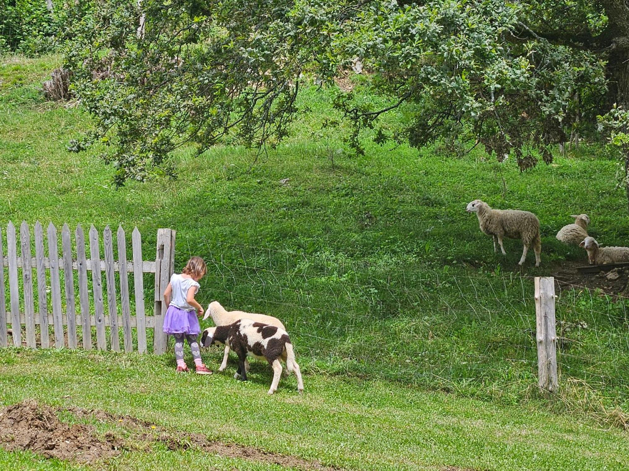 Tourist Farm Pr'Dovar Cerklje na Gorenjskem Buitenkant foto