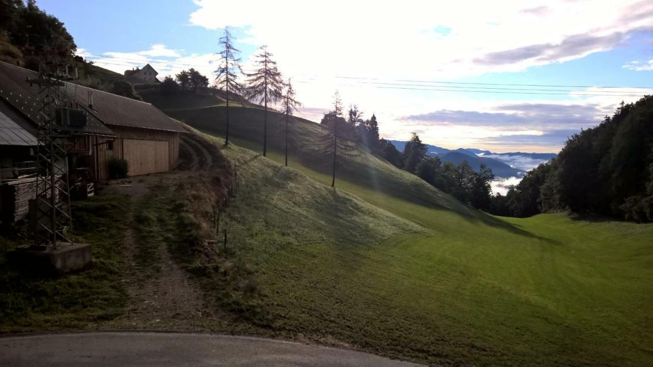 Tourist Farm Pr'Dovar Cerklje na Gorenjskem Buitenkant foto
