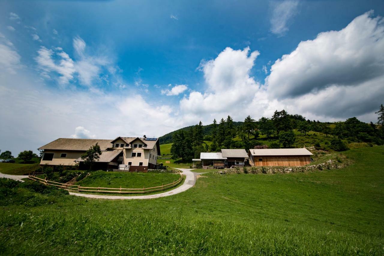Tourist Farm Pr'Dovar Cerklje na Gorenjskem Buitenkant foto